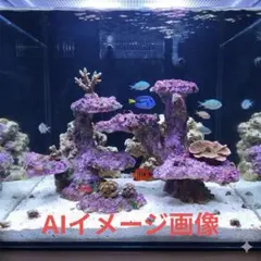 人工ライブロック BG11 39×29×23 アク抜き済み安心塗料使用 人工ライブロック BG11 39×29×23 アク抜き済み安心塗料使用 - メルカリ