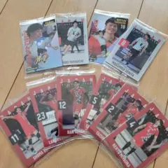 男子バレー ウエハース スポーツカード