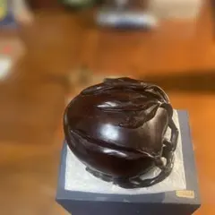 Item thumbnail for item fec33412-1813-4bbe-8f51-7794a65d0d5d