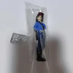 値下げ中　ポケモン　スケールワールド　カルム　未使用品