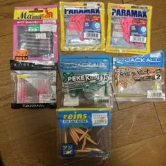 2025年最新】レインズ ワームの人気アイテム - メルカリ