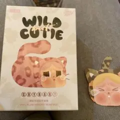 クライベイビー　Crybaby wild but cutie popmart