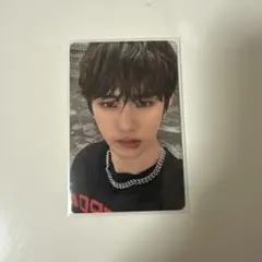 ALD1 EUPHORIA plus chat 特典 トレカ アンシン