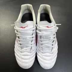 モナルシーダネオ3