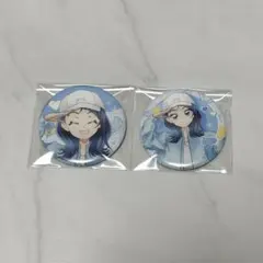 ソラ・ハレワタール 缶バッジ ファッションシリーズ ひろプリ プリティ
