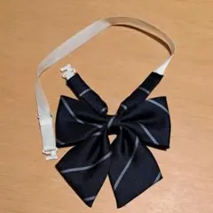 Item thumbnail for item d2ac5d02-0367-485d-97c6-b0978bf84faa