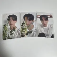 17 is right here carat盤　ドギョム　トレカ