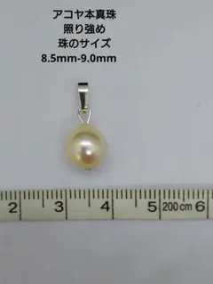 アコヤ本真珠　 ペンダントチャーム　SV925刻印
