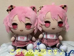 カラフルピーチ　おおきなBIGぬいぐるみ のあ　2点セット