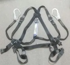 Item thumbnail for item bf407a4c-700d-4e1d-88de-5f05e669d285