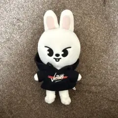Stray Kids スキズ SKZOO リノ Leebit