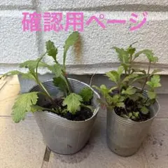 さくらさま 専用ページ