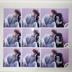 Snow Man 渡辺翔太 キッシン オフショ 公式写真 9枚