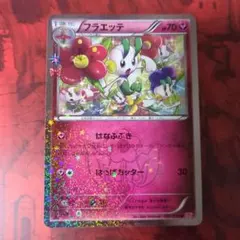 フラエッテ U XY BREAK コンセプトパック ポケキュンコレクション