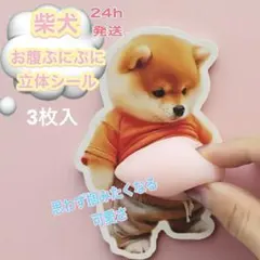 柴犬シール　おなかぷにぷに　立体3Dシール　ぷっくりお腹のいぬ　動物ステッカー