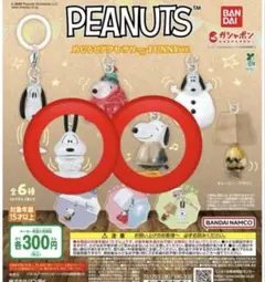 PEANUTS めじるしアクセサリー FUNNY ver. 2種類セット
