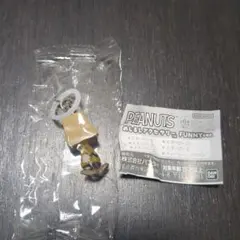 スヌーピー　Peanuts めじるしアクセサリー　チャリーブラウン
