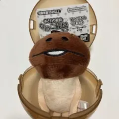 おさわり探偵 なめこ栽培キット ぬいぐるみマスコット なめこ