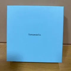 未使用　Tiffany & Co. ティファニー　デザートプレート　ブルーリボンのサムネイル
