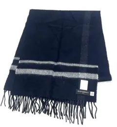 Item thumbnail for item 593be261-c04e-440b-8c84-45447b64ca6b