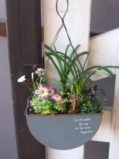 青い☆ 窓様 リクエスト 2点 まとめ商品