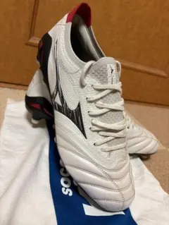 モレリアネオ4ベータ　白黒　25cm