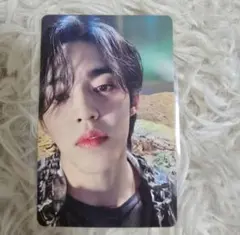 エスクプス トレカ