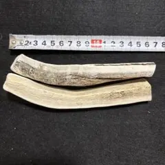 中型犬用64、生角使用‼️蝦夷鹿の角四つ割り２本セット、ワンチャンカミカミ、玩具のサムネイル