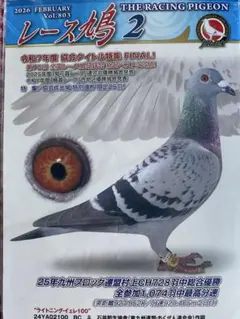 2026年最新】レース鳩の人気アイテム - メルカリ