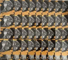 N@プロフ必読、まとめ依頼可様 リクエスト 3点 まとめ商品