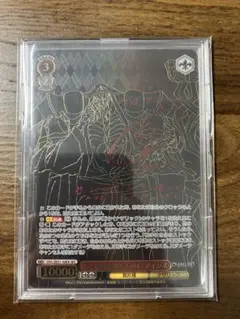 WS ヴァイスシュヴァルツ 戦いの外の日々 エルザ SSP サイン - メルカリ