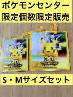 ポケモン 着せ替え スーツケース キャリーバッグ 懸賞 非売品 伊藤園 ポケモン 着せ替え スーツケース キャリーバッグ 懸賞 非売品 伊藤園