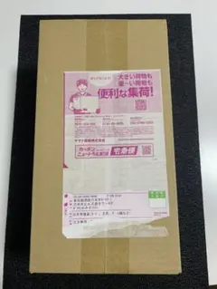 ポケモンセンター　ヒロシマ　スペシャルBOX 未開封ボックス