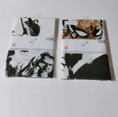 MARVEL 手ぬぐい 2枚セット 水墨画風のサムネイル
