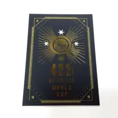 タリーズ ハリーポッター クィディッチ・ワールドカップ オリジナルホルダー