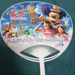 東京ディズニーリゾート 30周年 うちわ