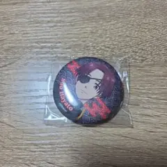 WINDBREAKER ウィンブレ 蘇枋隼飛 缶バッジ