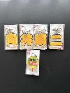 もじパラ 向井康二