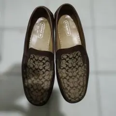 Item thumbnail for item 7b55f702-4d0d-48bc-b3be-c99c9d2b58df