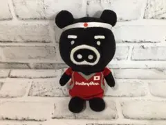 2026年最新】TBSバレブーの人気アイテム - メルカリ