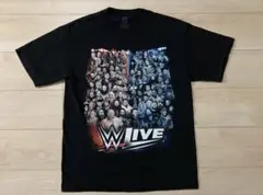 WWE 2017 tシャツ　古着　半袖