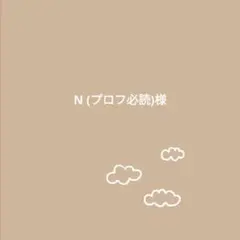 N (プロフ必読)様