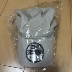 日向坂46 NEW ERA 9TWENTY キャップ ライトグレー　未使用のサムネイル
