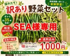 【専用】訳あり野菜セット オクラ 枝豆のサムネイル