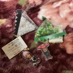 こびとづかんテトラキーチェーン 2点 こびと図鑑 シャカシャカキーホルダー