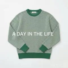 A DAY IN THE LIFE◆2トーン ワッフル プルオーバーのサムネイル