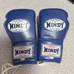 WINDY ボクシンググローブ 14 oz 青　ブルーのサムネイル