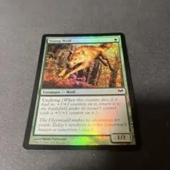 MTG foil 《若き狼/Young Wolf》[DKA]英語
