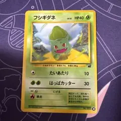 オ*ジ様 ポケモンカード　フシギダネLV.12旧裏No.001