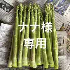 ナナ様専用